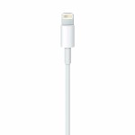 Cablu USB la Lightning Apple Alb 1 m