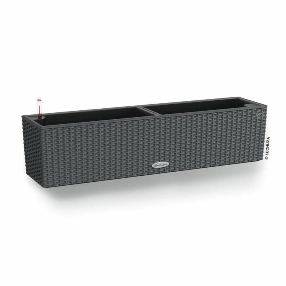 Ghiveci Lechuza Negru Gri polipropilenă