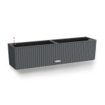 Ghiveci Lechuza Negru Gri polipropilenă