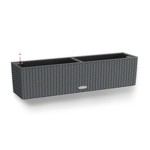 Ghiveci Lechuza Negru Gri polipropilenă