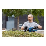 Foarfece de grădină BOSCH 06008C9500 18 V