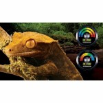 Termometru Exo Terra