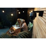 Cameră Video de Supraveghere ABUS