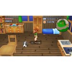 Joc video pentru Switch Just For Games Harvest Moon The Lost Valley & Skytree Village