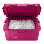 Frigider Portabil Dometic Patrol Roz 36 L 70 x 43,2 x 41 cm