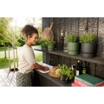 Set de ghivece Elho Negru Plastic Rotund 2 Piese