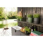 Set de ghivece Elho Negru Plastic Rotund 2 Piese