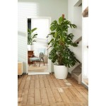 Set de ghivece Elho Alb Plastic Rotund 2 Piese