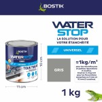 Silicon Bostik