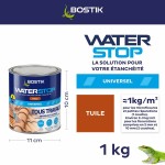 Silicon Bostik