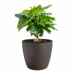 Set de ghivece Elho Plastic Rotund 3 Piese