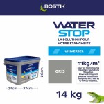 Silicon Bostik