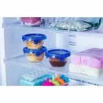 Set de Cutii pentru Prânz Pyrex Transparent 5 Piese
