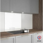 Hotă Convențională Aurys