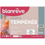 Plapumă de puf Blanreve Alb 300 g/m² 140 x 200 cm