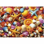 Puzzle Educa Collage de Conchas 1000 Piese