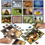 Puzzle Educa Battle Jr Natura 42 Piese (12 Unități)