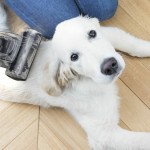 Extractor Hkoenig Negru