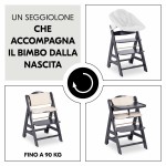 Scaun înalt Hauck Maro Gri închis