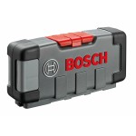 Lamă de ferăstrău BOSCH 30 Piese