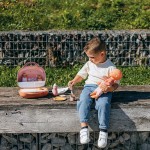 Kit de curățare et de depozitare Smoby