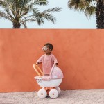 Kit de curățare et de depozitare Smoby