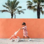 Kit de curățare et de depozitare Smoby