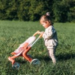 Kit de curățare et de depozitare Smoby