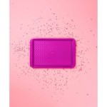 Formă de tort detașabilă Fackelmann