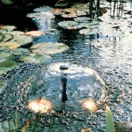 Pompă de apă Ubbink Xtra 900