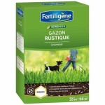 Semințe Fertiligène Rustic Iarbă Universal 875 g 35 m²