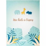 Album Domiva 1700251 Cutii de Depozitare