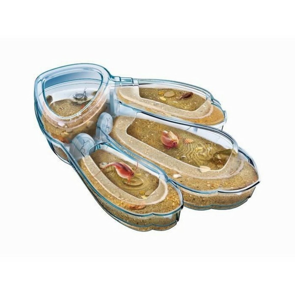 Joc de știință Clementoni Triops Les animaux préhistoriques FR