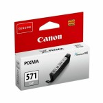 Cartuș cu Cerneală Originală Canon 2421U06 Gri