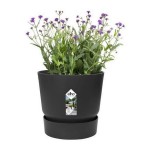 Ghiveci Elho Greenville Negru Plastic Rotundă Rotund Ø 30 cm Ø 29,5 x 27,8 cm
