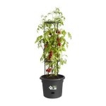 Ghiveci Elho Basics Tomato Negru (Ø 33 cm)