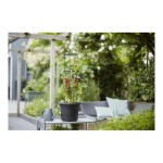 Ghiveci Elho Basics Tomato Negru (Ø 33 cm)