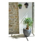 Ghiveci EDA Graphit Rotundă Plastic Gri închis (Ø 50 x 45 cm)