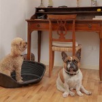 Pat pentru câine Ferplast Siesta Deluxe 6 Negru 70,5 x 52 x 23,5 cm