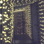 Ghirlandă de lumini LED Lumi Garden BILLY SPHERICAL 60 LEDS Negru noir 1 W