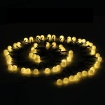 Ghirlandă de lumini LED Lumi Garden BILLY SPHERICAL 60 LEDS Negru noir 1 W