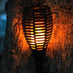 Set de lanterne-torțe solare de grădină Lumi Garden Maity Sun Mini Negru Plastic 70 cm (2 Unități)