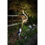 Lampă solară Galix 30 Lm Oțel inoxidabil