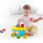 Coș cu Plăci de Construcție Fisher-Price FFC84 5 Piese 10 Piese