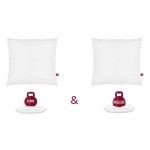 Perna Abeil (2 Unități)