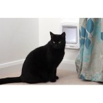 Ușă pentru pisici SureFlap chip 70955