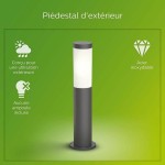 Lampă Philips Luminarias de exterior Antracit E27 230 V 2700 K