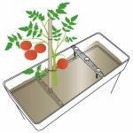 Ghiveci Deroma Like R Alb