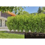 Sistem de irigare prin picurare Gardena 13501-20