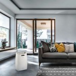 Dezumidificator DeLonghi